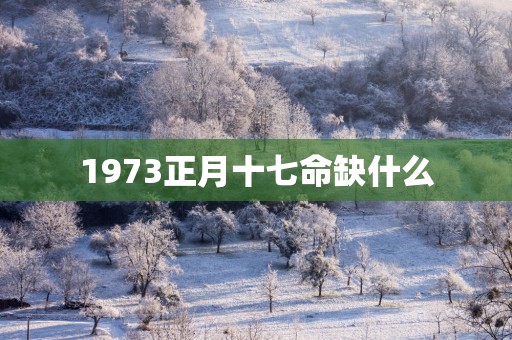 1973正月十七命缺什么
