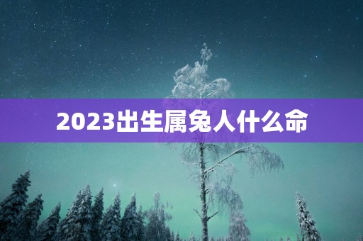 2025出生属兔人什么命