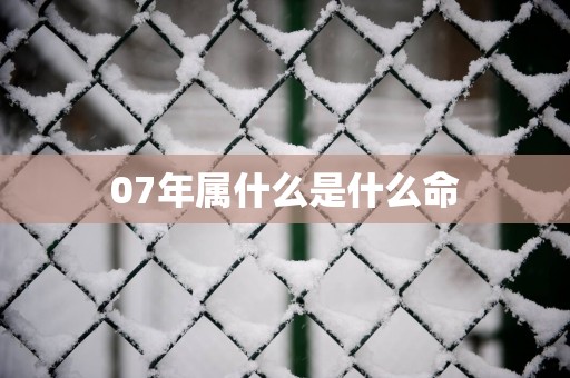 07年属什么是什么命