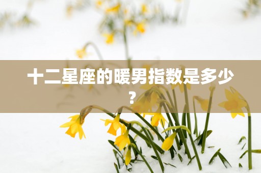 十二星座的暖男指数是多少？