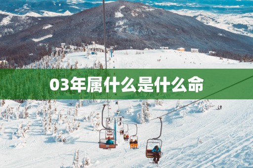 03年属什么是什么命