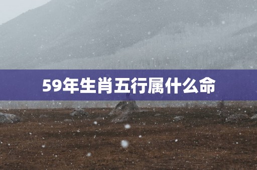 59年生肖五行属什么命
