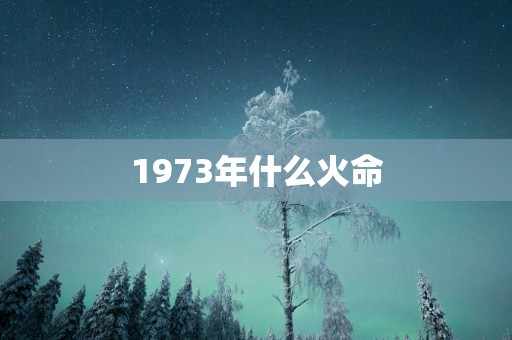 1973年什么火命