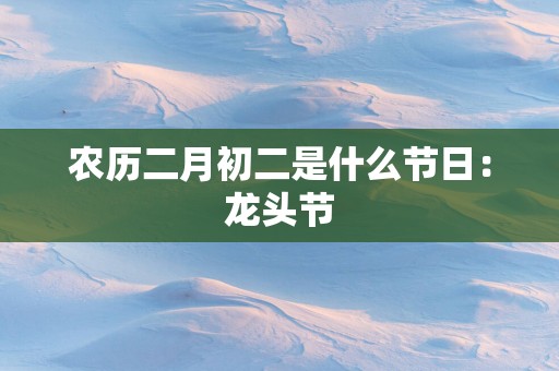 农历二月初二是什么节日：龙头节