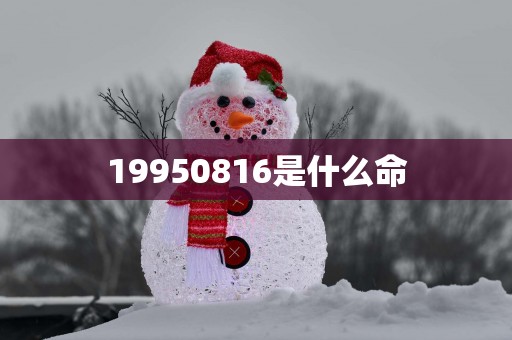19950816是什么命