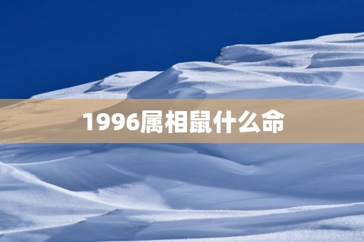 1996属相鼠什么命