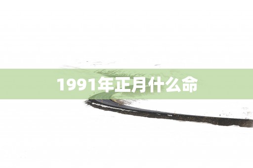 1991年正月什么命