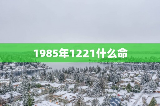 1985年1221什么命
