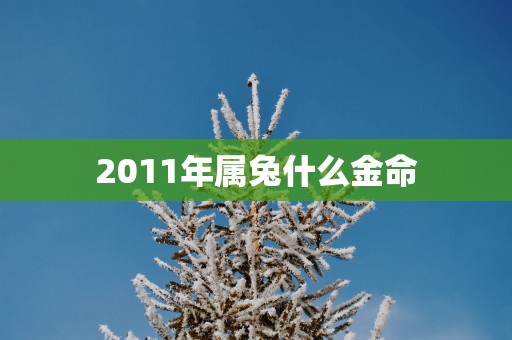2011年属兔什么金命