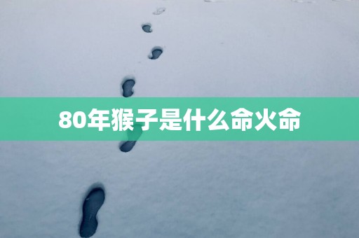 80年猴子是什么命火命