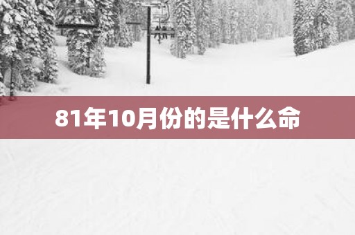 81年10月份的是什么命