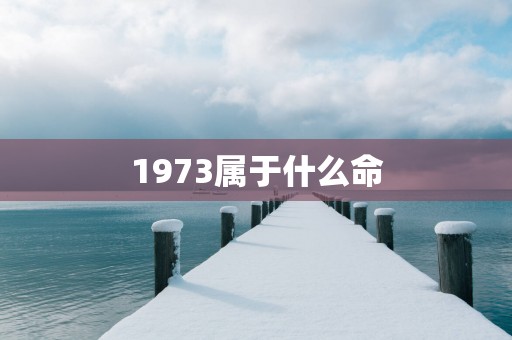 1973属于什么命