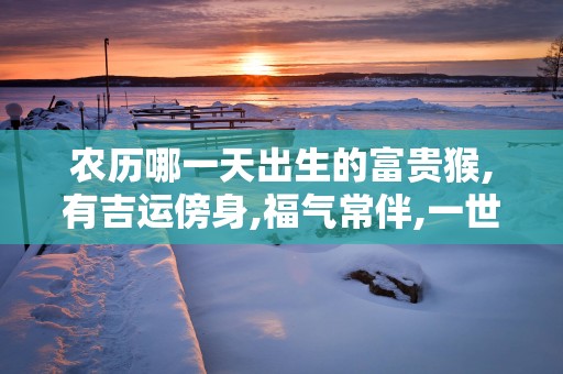 农历哪一天出生的富贵猴,有吉运傍身,福气常伴,一世一富贵!