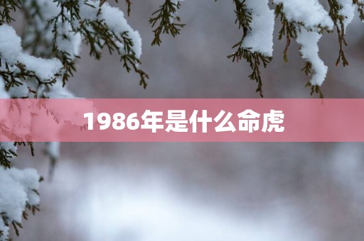 1986年是什么命虎