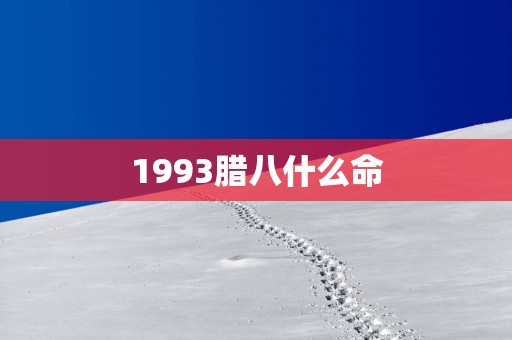 1993腊八什么命