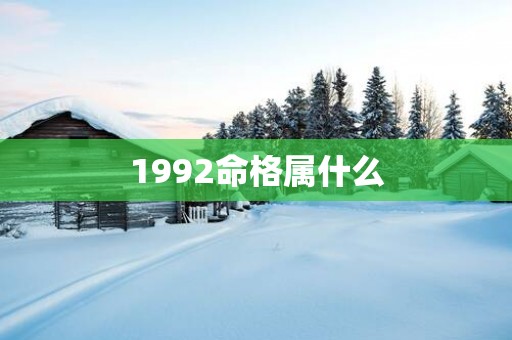 1992命格属什么