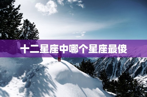 十二星座中哪个星座最傻