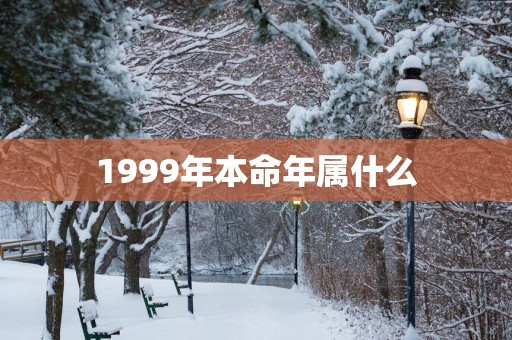 1999年本命年属什么