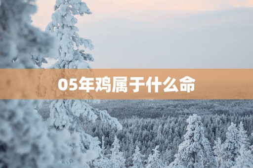 05年鸡属于什么命