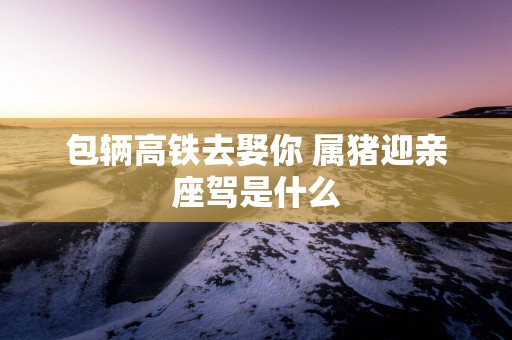 包辆高铁去娶你 属猪迎亲座驾是什么
