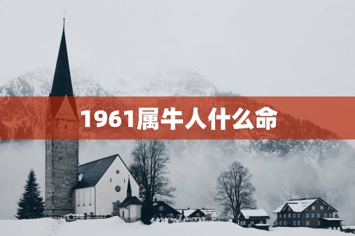 1961属牛人什么命