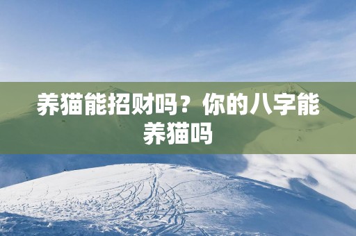 养猫能招财吗？你的八字能养猫吗