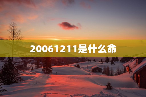 20061211是什么命