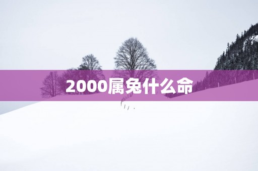 2000属兔什么命