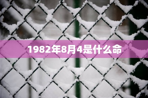 1982年8月4是什么命