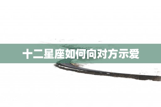 十二星座如何向对方示爱