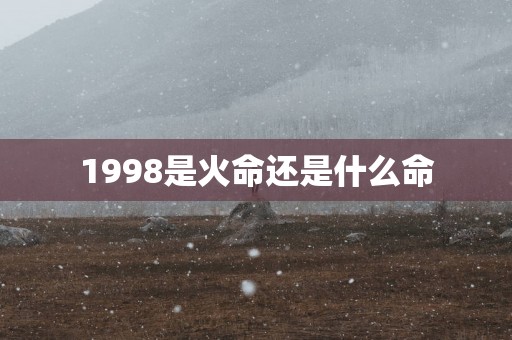 1998是火命还是什么命