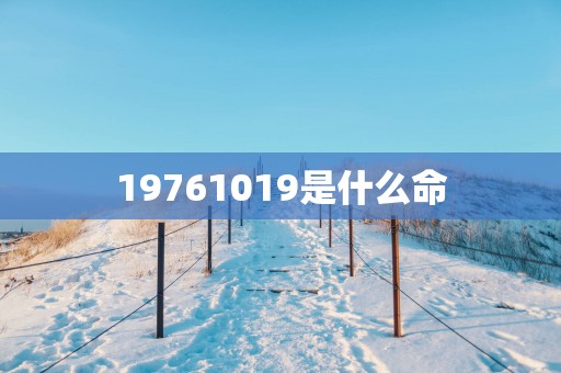 19761019是什么命