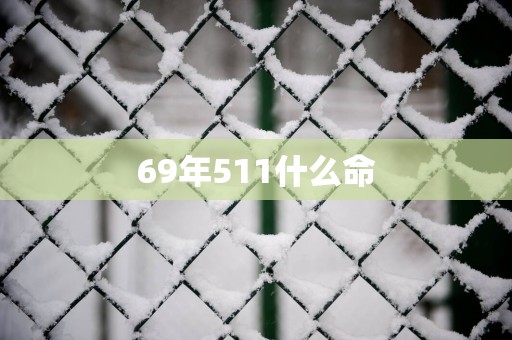 69年511什么命