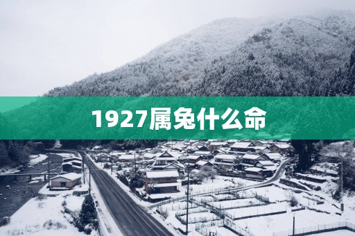 1927属兔什么命