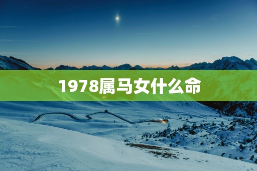 1978属马女什么命