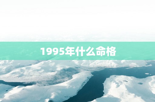 1995年什么命格