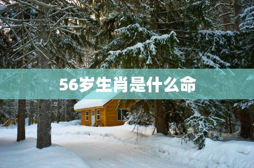56岁生肖是什么命