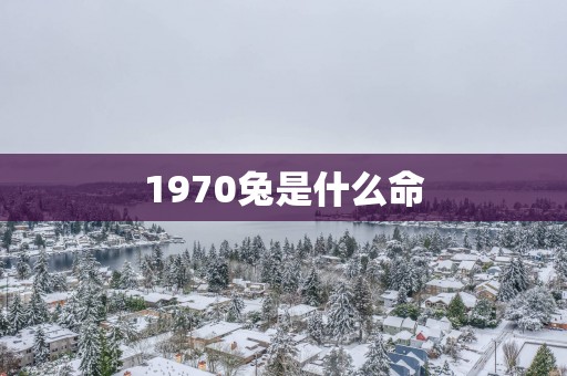 1970兔是什么命