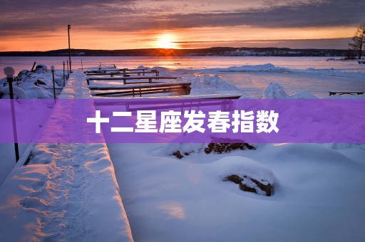十二星座发春指数