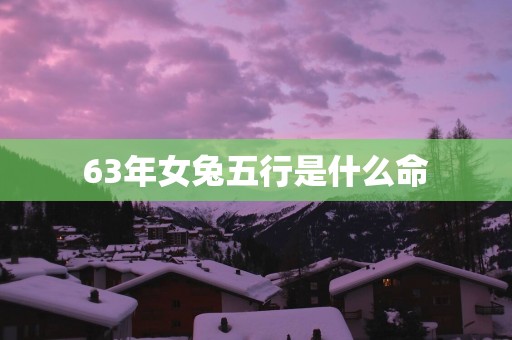 63年女兔五行是什么命