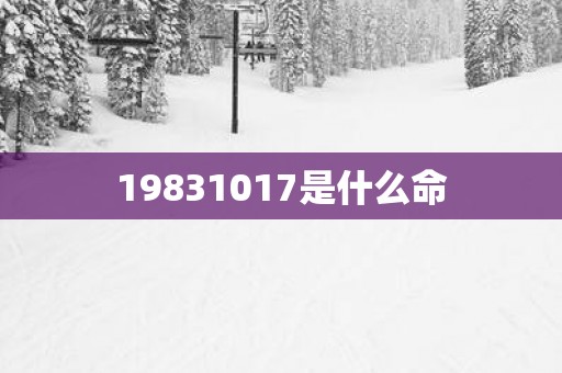 19831017是什么命