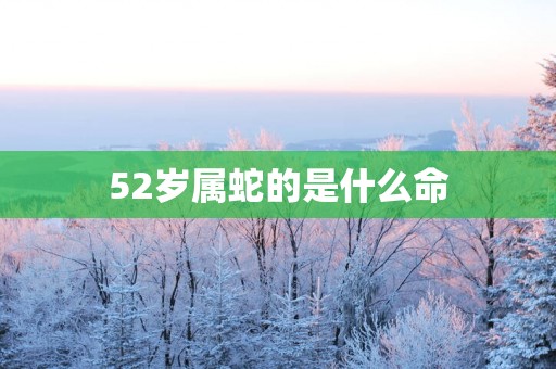 52岁属蛇的是什么命