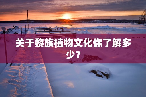 关于黎族植物文化你了解多少？