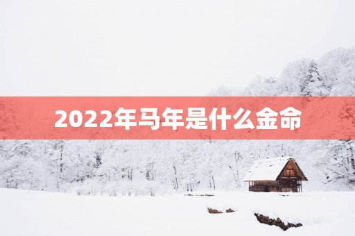 2025年马年是什么金命