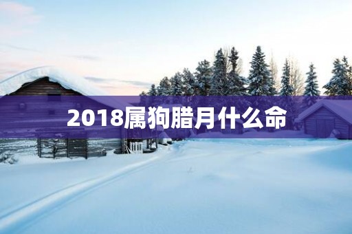 2018属狗腊月什么命