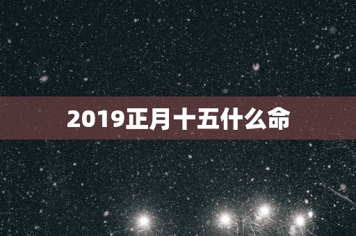 2019正月十五什么命