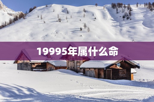 19995年属什么命