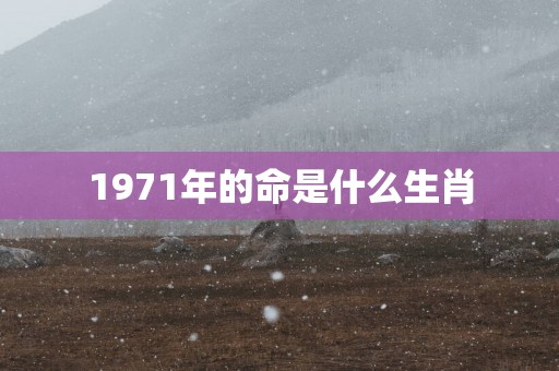 1971年的命是什么生肖