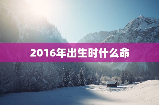 2016年出生时什么命