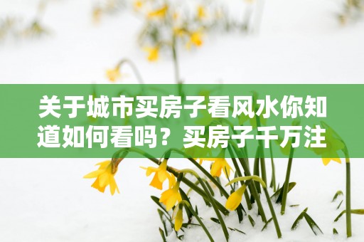 关于城市买房子看风水你知道如何看吗？买房子千万注意的五大要素!